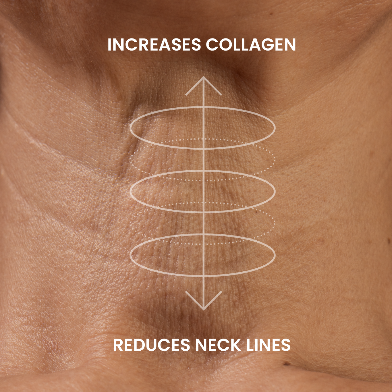 NECK+ Regenerative Cream